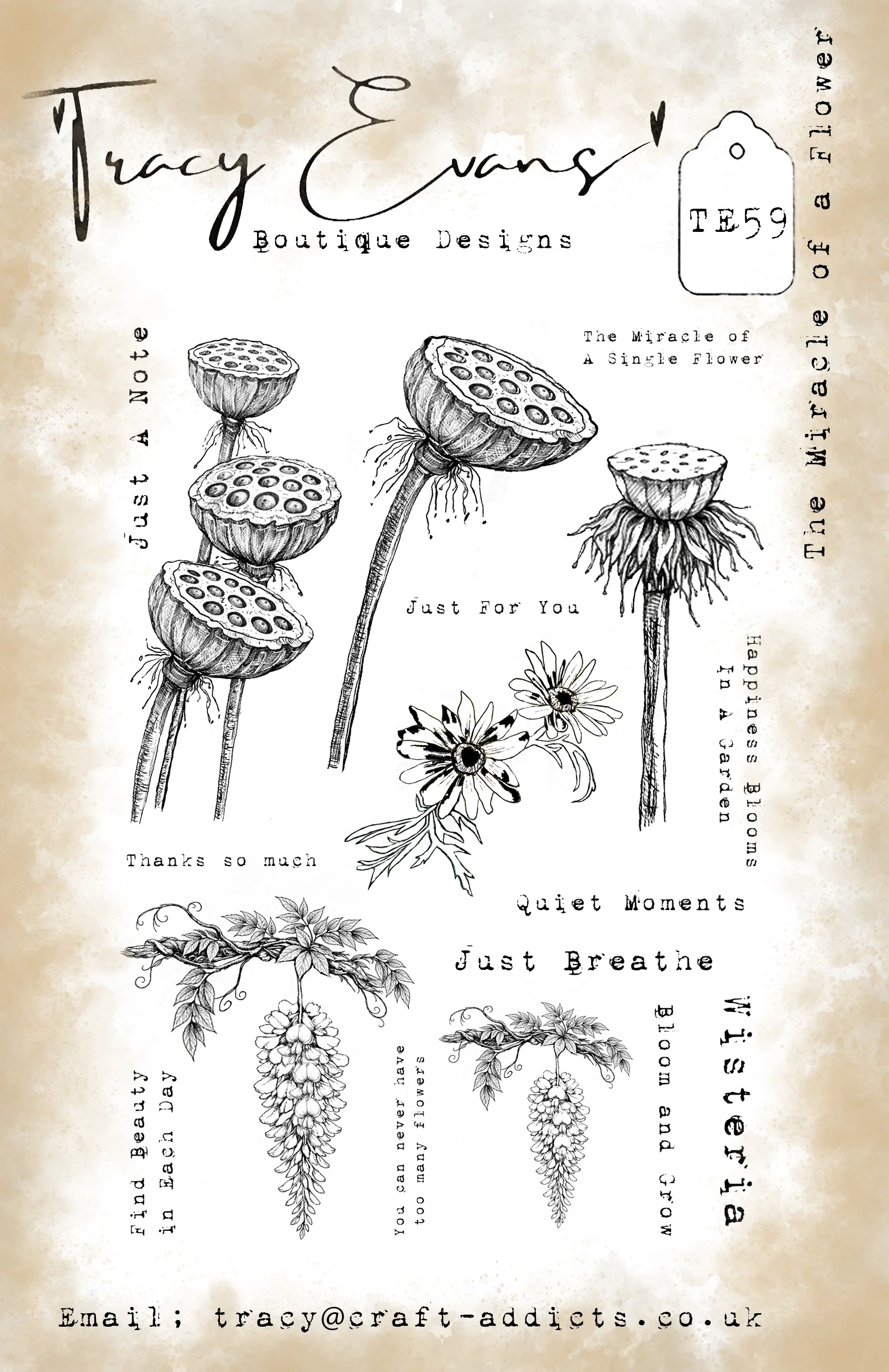 Fox Platforms Tiles Flowers Ne - Candle Making Books 评论和价格