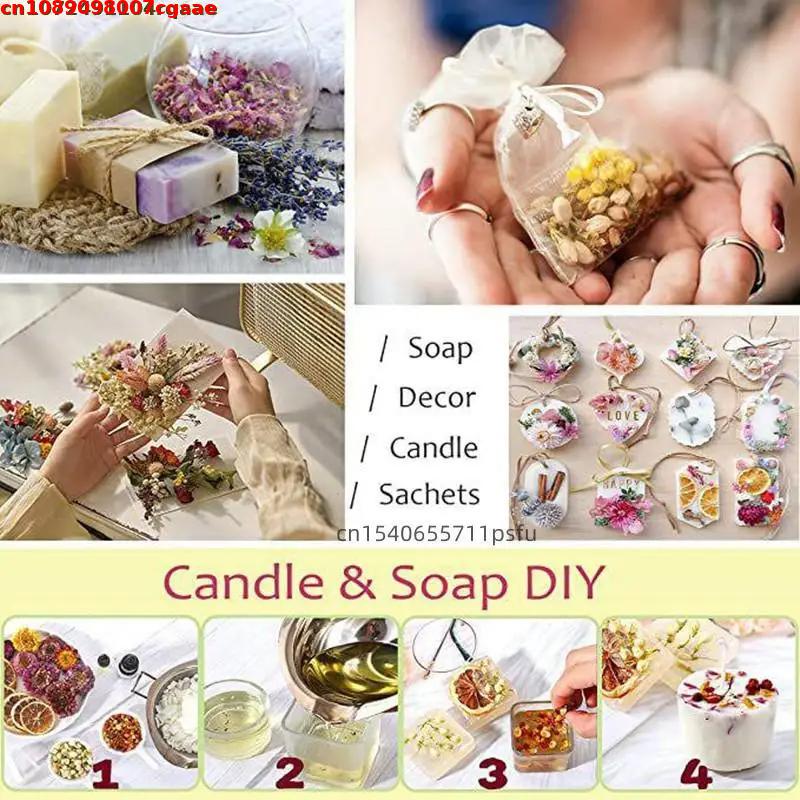 Quality Witch Beginner Natural - Candle Making For Beginners 评论和价格